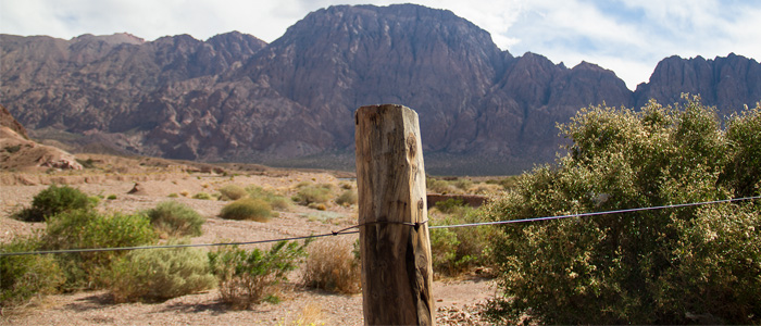 Reflexiones sobre el régimen de tierras rurales